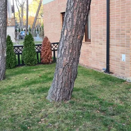 Park 1
